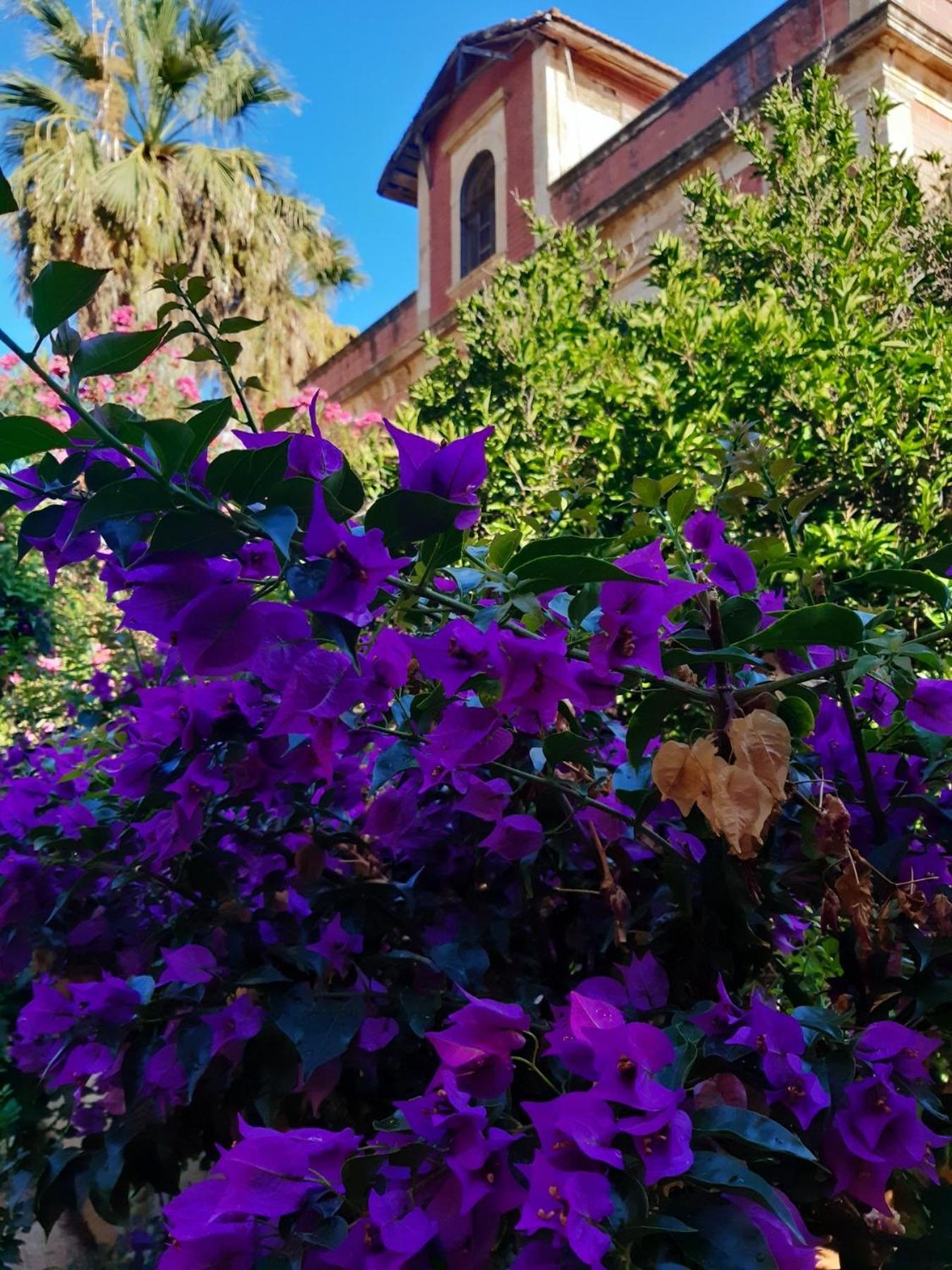 AΥΓΗ Garden House Chania with private entrance Buitenkant foto