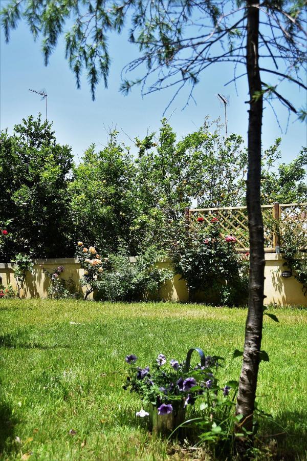 AΥΓΗ Garden House Chania with private entrance Buitenkant foto